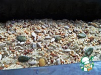 ������������ ������� ���� �����������