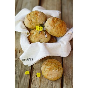 ������� ������� � �������� ��������