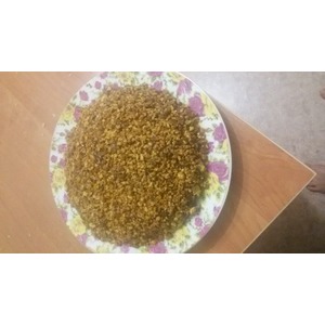 ���� "����������"