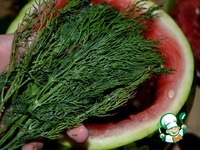 ������, ������������ � ������ �����������