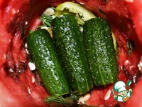 ������, ������������ � ������ �����������