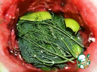 ������, ������������ � ������ �����������