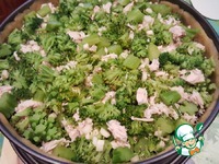 ��� � ��������, ������� � �������� �����������