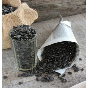 ������� ������� � �������������