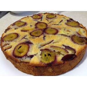 �������� �� �������