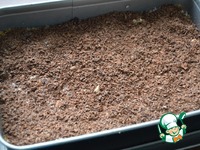 ��� "����������" �����������