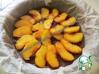 ����� "��������-������" �����������