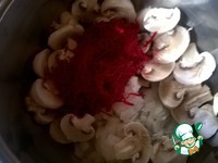 ������� ���� ��� ������ "��������" �����������