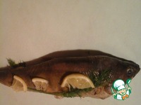 ��� ���� �� 20 ����� �����������