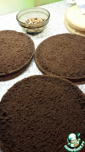 ������ ����