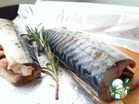 ������ �������� � ������������ �����������