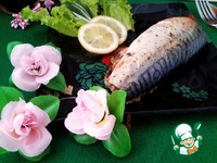 ������ �������� � ������������ �����������