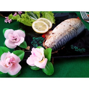 ������ �������� � ������������