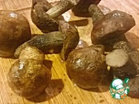 �������� � �������� �����������