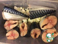 �������� � ������� �������� �����������