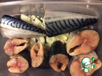 �������� � ������� �������� �����������