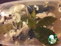 �������� � ������� �������� �����������