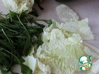 ��������� ����� � ������� �����������