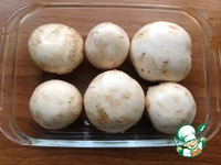 ������ ������� "���������" �����������