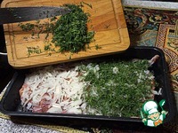 ���� ����� � ��������-������ ������� �����������