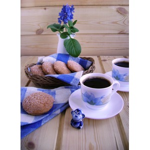 ������� �������� �������� ��������