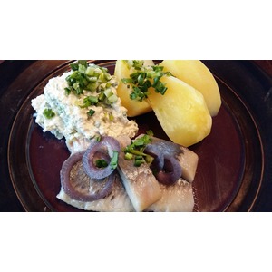 ������������ ��������� ���� ������