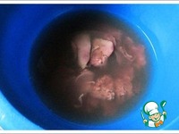 ������� �� ������� ������� ������ �����������