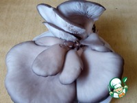 ��������� ���-���� � ������� �����������