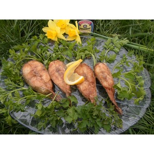 ��� �������