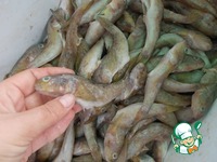 ����� � �������� ����� �����������