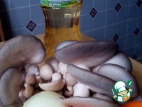 ������� �������� �����������