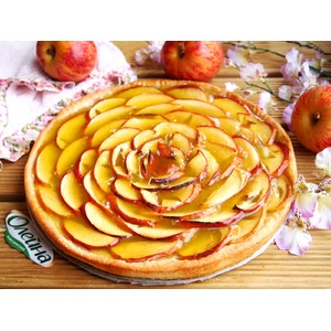 �������-����������� �����