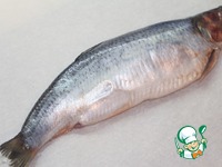 ������������ ������ � ����� � ��������� �����������