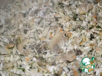 ������� � �������� � ������� �����������