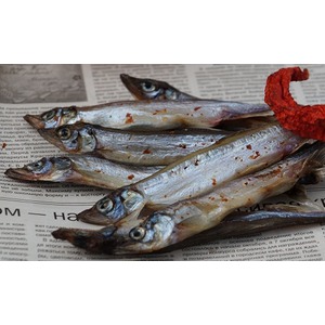 ����� ������� ���������