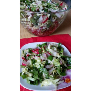 ����� "�������� ��������"