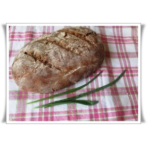 ������ ��������� ����