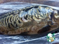 ����, ���������� � �������� ����� �����������