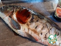 ����, ���������� � �������� ����� �����������