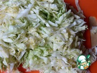 ����� "�������� ��������" �����������