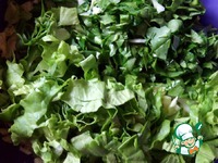 ����� "�������� ��������" �����������