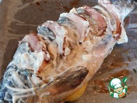 ����, ���������� � �������� ����� �����������