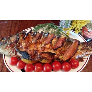 ����, ���������� � �������� �����