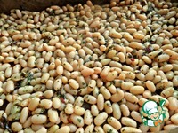 ���������� ������ ��������� �����������