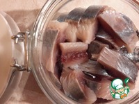 ������ � ������� �������� �����������