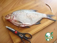 ������������� ��� �����������