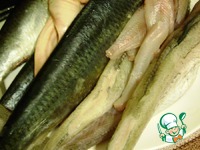 ������ ������� � ����� �������� �����������