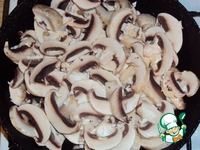 ����� ��� ������ �����������