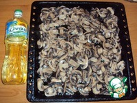 ����� ��� ������ �����������